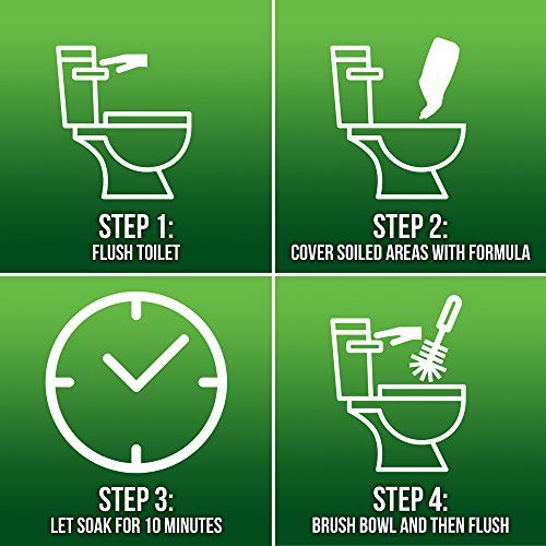 Lime-A-Way Liquid Toilet Bowl Cleaner Remove Lime Calcium Rust 16 oz (Pack of 4)