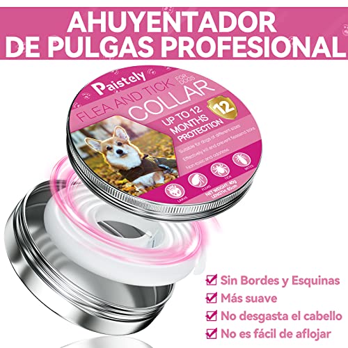 Collare Antiparassitario per Cani