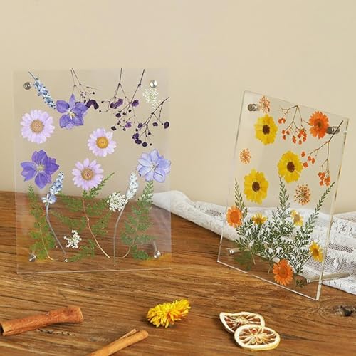 Cadre de fleurs séchées déco murale durable pour masquer mur vide - 5