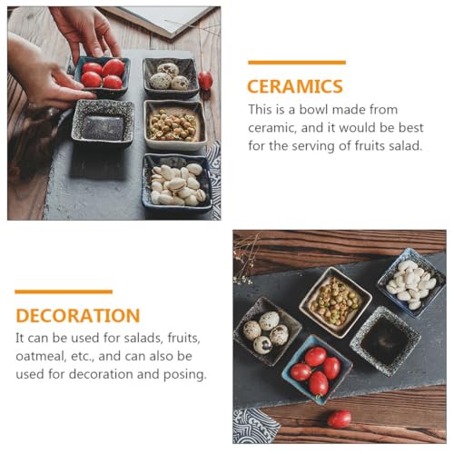 Juego 5 platos de cerámica japonesa para sushi miniatura 3