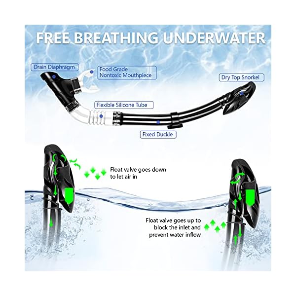 Ninetials 4 in 1 Snorkel Set for Adults with Adjustable Dive Flippers, Panoramic View Anti-Fog Mask, Dry Top Snorkel and Dive Socks, Snorkeling Gear Mask Fin for Snorkeling Swimming Scuba Diving - Image 5