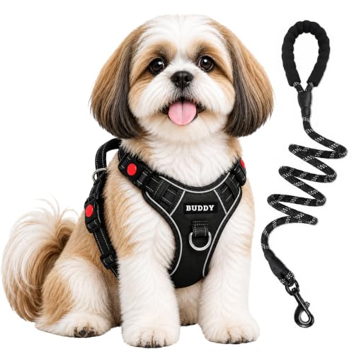 Image of Dog Harness for Small Dogs | No Pull, Adjustable, Reflective, Harness Leash Combo for 5-13Kg Pets (Black, Small)