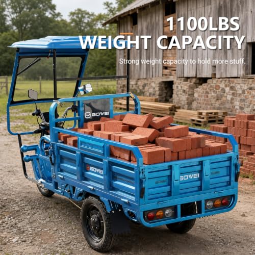 1000W Electric Cargo Tricycle Truck