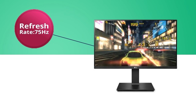 LG Electronics 24 inch (60 cm) QHD (2K) 2560 x 1440 Pixels