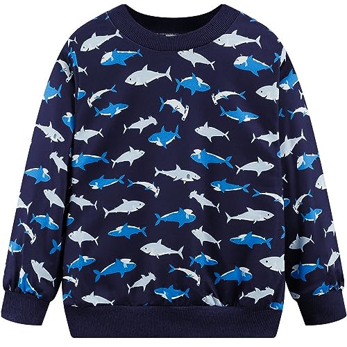 Boys Cotton Sweatshirts Crewneck Long Sleeve Pullover Toddler Winter Warm Sweater Tops 2-7T