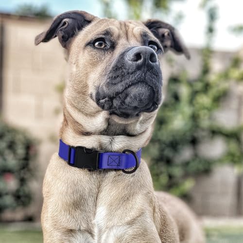Image of Dogline Biothane Waterproof Dog Collar with Quick Release Buckle Strong Coated Nylon Webbing with Odor- Proof for Easy Care Easy to Clean Fits Small Medium or Large Dogs, Royal Blue 1 inch W 15-23 inch L