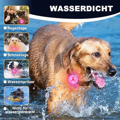 AHJ Hundelicht LED Aufladbar 2 Stück, USB-Sicherheits-Leuchtanhänger mit Blinklicht für Hunde & Katzen – kinderleicht an Schulranzen, Geschirr oder Jogger im Dunkeln befestigt( Rosa-Blau)