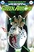 Green Arrow (2016-) #13