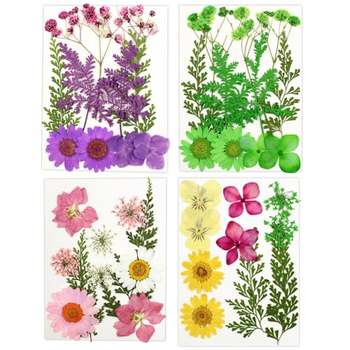 Surakey Dried Flowers for Resin, 10 pcs Natural Flowers and Leaves Compressed, Vacuum Packed DIY Pressed Flowers for Epoxy, Jewelry, Candles, Soap, Nail Production, Greeting Making, 4 Packs Style 10