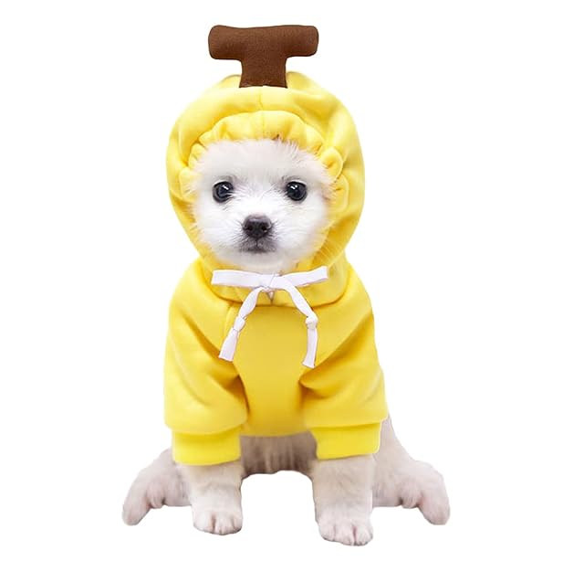 XIAOYU Cachorro Perro con Capucha Gatos Sudaderas con Capucha Ropa para Mascotas Elegante Sudadera de Frutas…