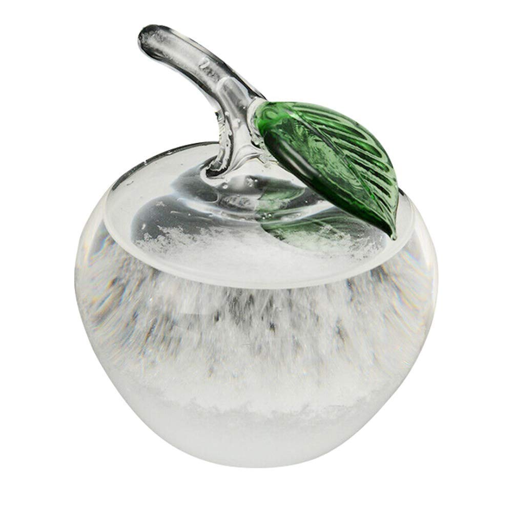 Venus valink Storm Glass Weather Forecaster Weather Station, Barometer Weather Predictor Water Bottle Base Christmas Table for Home Office Desktop Decoration