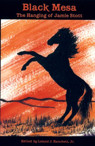 Black Mesa: The Hanging of Jamie Stott 0963778544 Book Cover