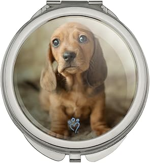 GRAPHICS & MORE Tiny Dachshund Puppy Compact Travel Purse Handbag Makeup Mirror