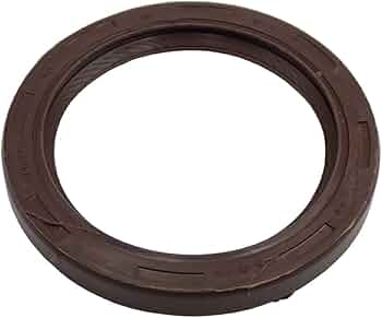 51g-RfeJtEL._AC_UF350,