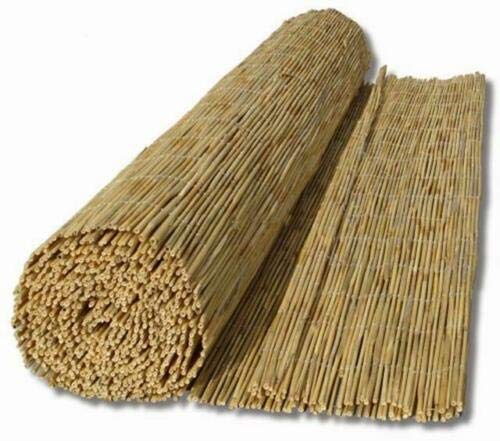 Schilfrohrmatte Enjoy-Quality 600 cm x 100 cm für Sichtschutz