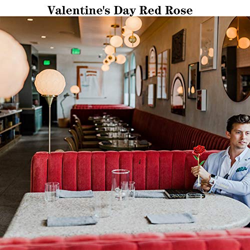 Gold-Dipped-Rose-24k-Red-Gold-Plated-Rose-Everlasting-Long-Stem-Real-Rose-Exquisite-Holder-Romantic-Gift-for-Valentines-Day-Best-for-Her-Anniversary-and-Mothers-Day