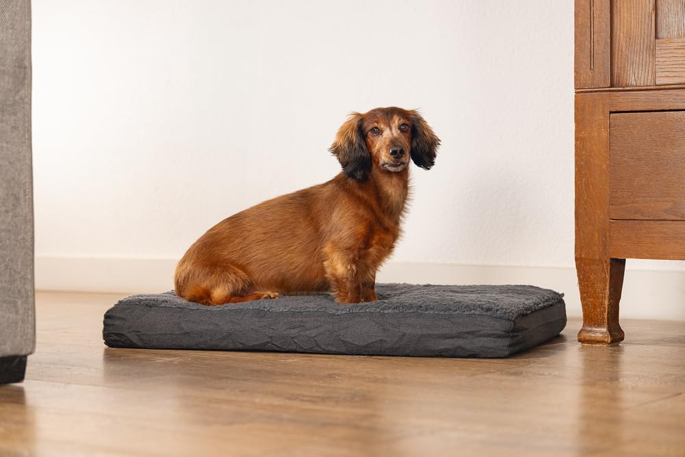 Beeztees Zira Cama ortopédica para Perros, Gris Oscuro, 75 x 50 x 9 cm