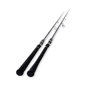 TENRYUテンリュウSWATスワットSW842S-LML天龍シーバスロッド Amazon | 天龍(Tenryu) (TENRYU) スワットSW842S-LML | 天龍