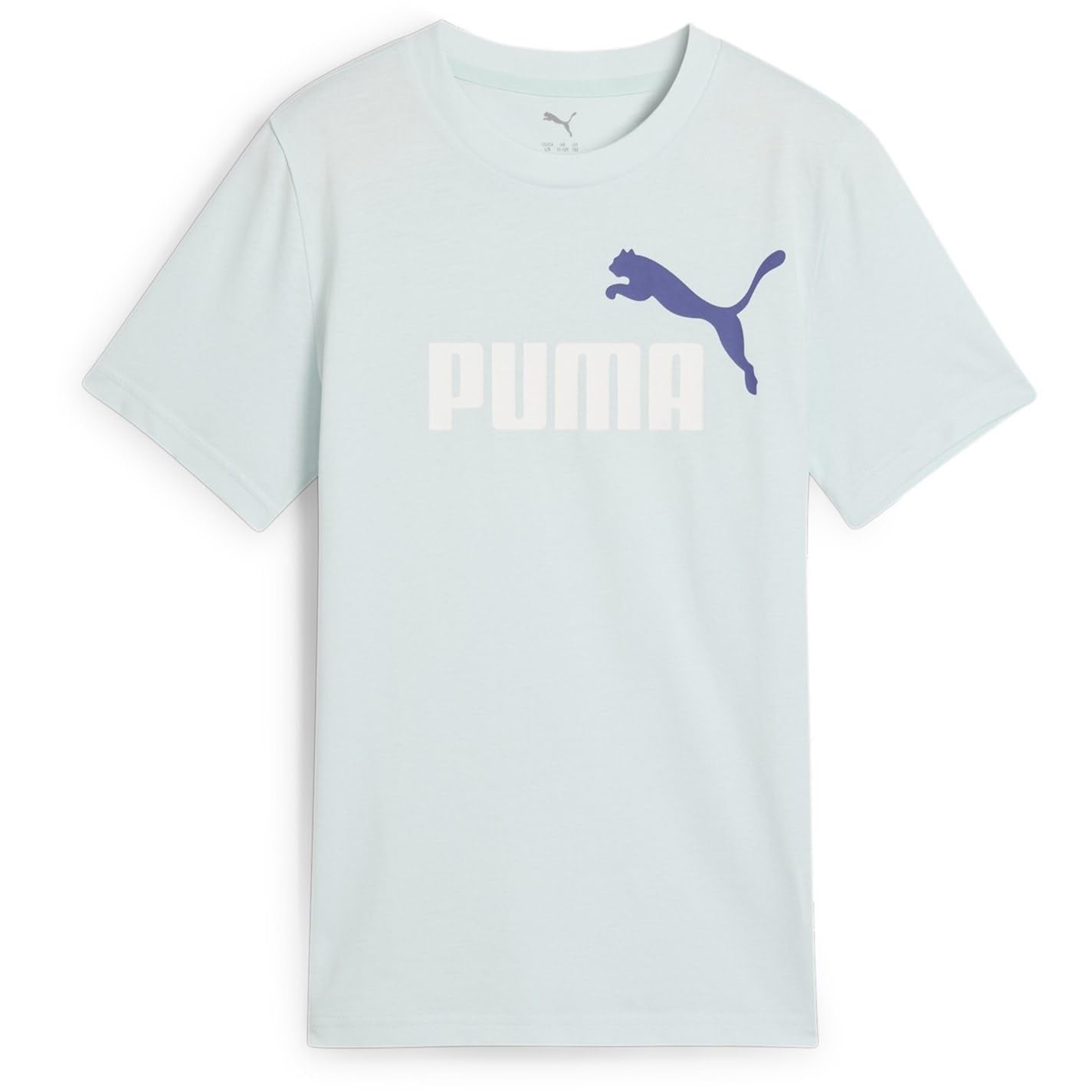 PUMA Boys 2 Color No.1 Logo B Tees, Peaceful Blue, 152 EU