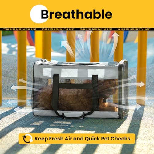 Conlun Hundetransporttasche – Weichwandige Tragetasche mit 4-Seitigem Mesh für Kleine Hunde & Große Katzen bis 9kg, Klappbare Reisetasche mit Atmungsaktivem Design in Größe L-Grau
