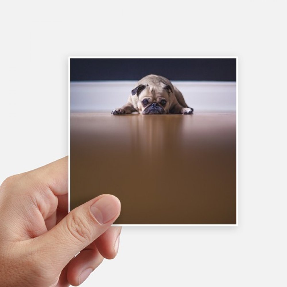 Stickers muraux chien pour masquer les imperfections du sol et décorer une chambre