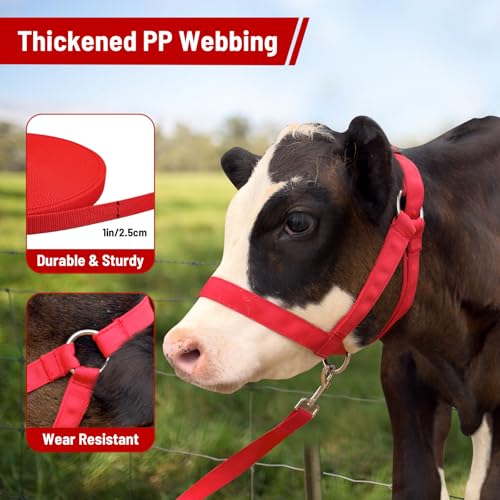 Cow Halter Cattle Halters Calf Halter with Leading Rope,Adjustable Nylon Livestock Cattle Halter,for Miniature Horse Donkey Goat Foal (Red, Medium)