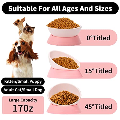 Umysky French Bulldog Food Bowl- Slanted Tilted Pug Food Water Bowl,Cat Bowl- Feeder For Frenchie/Shih Tzu/ Flat Faced Small Dogs/ Puppies/ Cats(White #TOP1