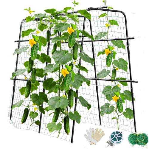 Treillis pour concombres rigide arche de croissance 120cm
