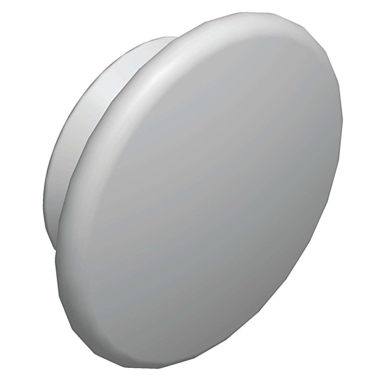 Schneider Elec pue – MCO 12 81 – Tapon fondo