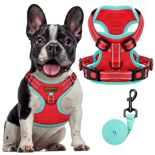 FAYOGOO Set Pettorina e Guinzaglio per Cani di Taglia Piccola e Media, Gilet Leggero Frenchie Senza Tirare con Gilet Regolabile per Cuccioli per Bulldog Francese