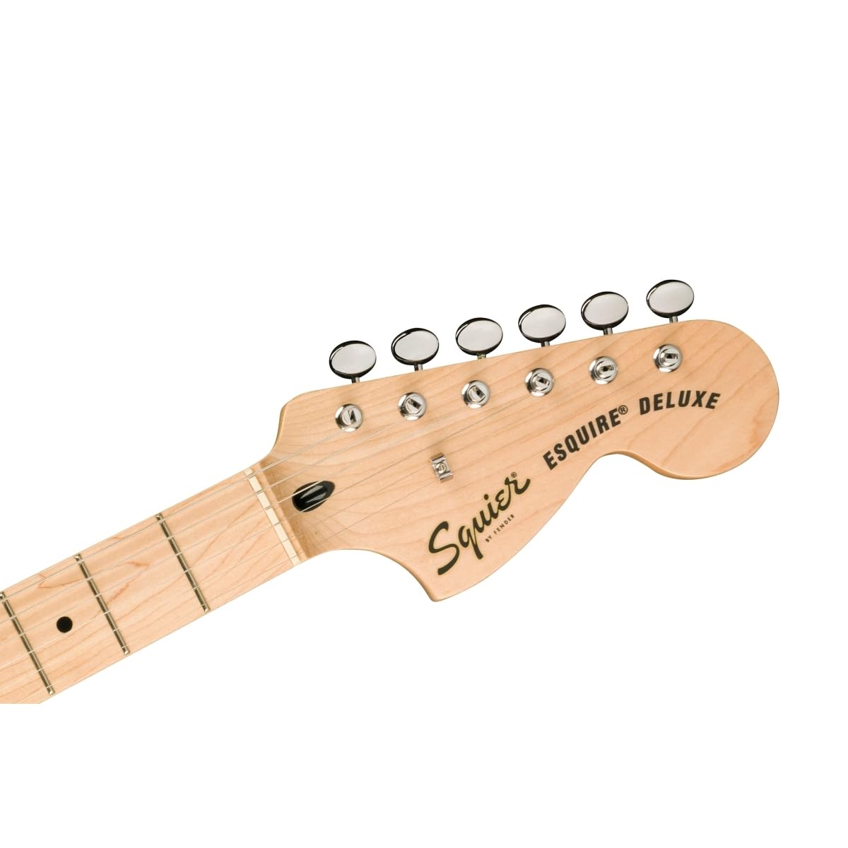 Amazon | Squier by Fender/Limited Edition Paranormal Esquire