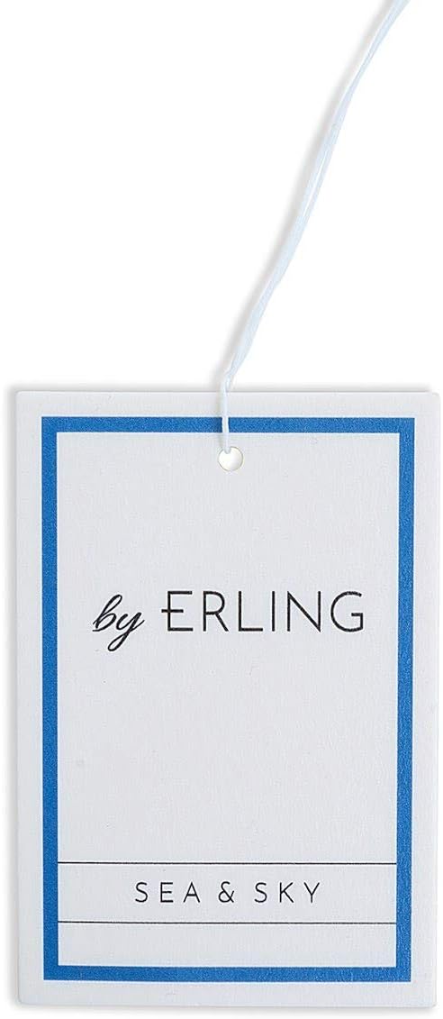 Premium Hanging Car Air Freshener. Scandinavian Inspired Car Airfreshers Luxury & Long Lasting Fragrance For Your Car. Premium & Unique Scents (Sea & Sky - White/Blue) (1)