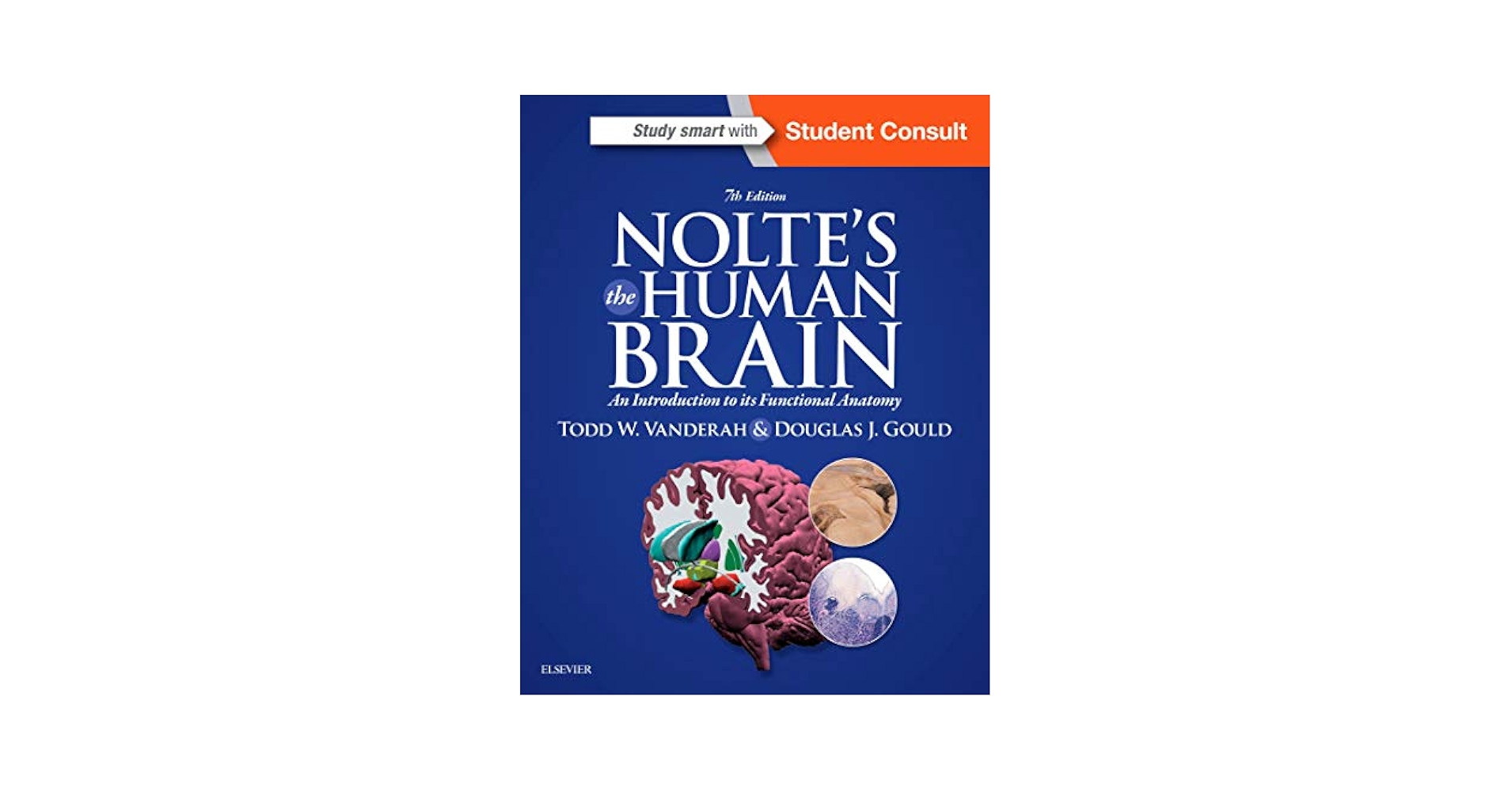 洋書 Duvernoy The Human Brain Second edition 洋書 Duvernoy The Human Brain Second edition 洋書 Duvernoy