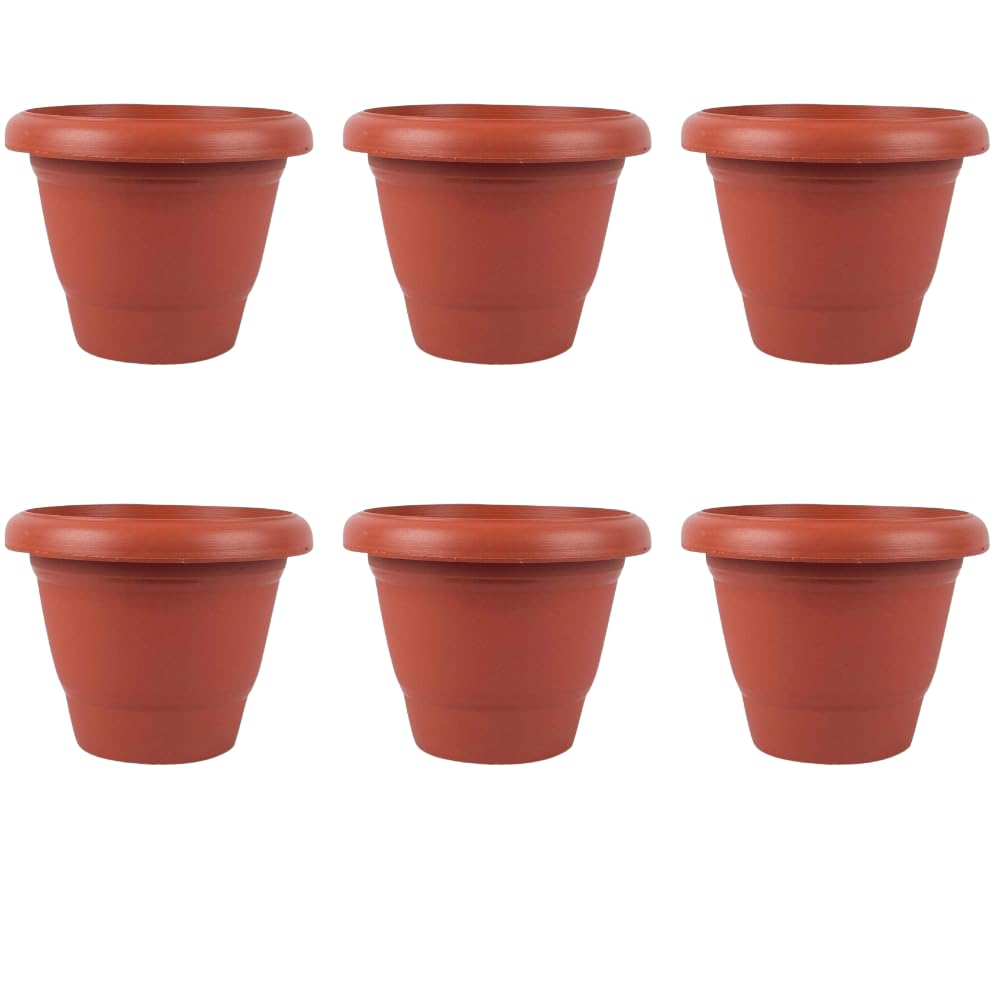 Bhajanlal Greenery Plastic Round Pot Set with Tray (10-inch, Brown) - Pack of 6 (B08937X6CX) Amazon Price History, Amazon Price Tracker