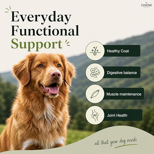 Image of Canine Creek Ultra-Premium Adult Dry Dog Food 3kg | Chicken Flavour | Healthy Muscle Development | Dental Health | Healthy Immune System | Long & Healthy Life