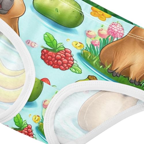 Cute Capybaras Playful Fruits Girls Underwear Toddlers 2t Cotton Cute Panties Girl Fun Print Kids Undies Briefs4