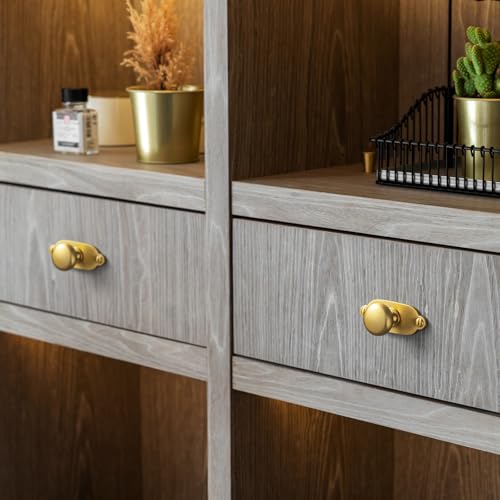 Image of Goo-Ki Brushed Gold Zinc Alloy Cabinet Knob with Backplate - Single Hole Center Cabinet Pull Hardware for Bedroom, Kitchen, 12 Pack(8611-G013)