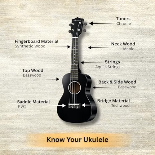 Image of Vault UK-003 Concert Colourful Ukulele 23 inch With Gig Bag - Black