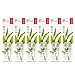 RADIUS Toothbrush Replacement Heads for Big Brush Soft 2-Count Improve Gum Health & Reduce Gum Issues - Pack of 6