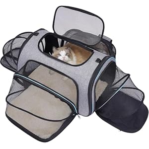 Siivton 4 Way Expandable Pet Carrier, Airline Approved Collapsible Cat Soft-Sided Carriers W/Removable Fleece Pad for Cats, Puppy, Small Dogs (18"x 11"x 11") Siivton 4 Way Expandable Pet Carrier Airline Approved Collapsible Cat Soft Sided Carriers WRemovable Fleece Pad for Cats Puppy Small Dogs 18x 11x 11