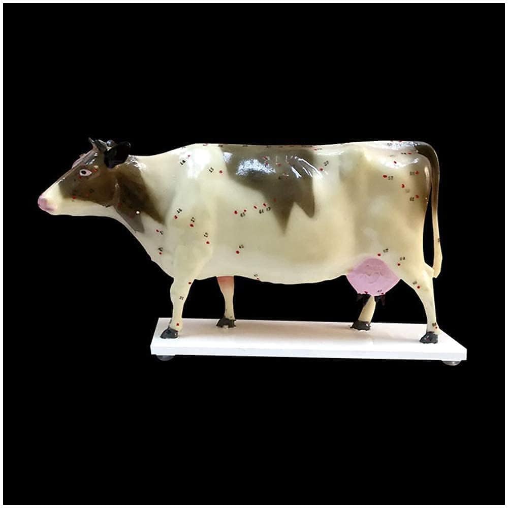 Monster デスペラード 2BA 18g 粕谷晋 廃盤 ダーツ > ソフトダーツ Monster デスペラード 2BA 18g 粕谷晋 廃盤 ダーツ > ソフトダーツ