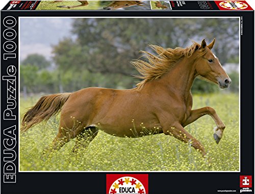 Educa - Puzzle 1.000 Piezas Cabalgando (15522)