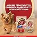 PURINA ONE Mini/Small Adult Hundefutter nass für kleine Hunde, reich an Huhn und Gemüse, 26er Pack (26 x 85g)
