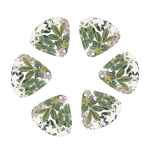 Ensemble de 12 médiators de guitare perroquet feuille de fleur tropicale pour guitare acoustique, guitare électrique… - Les Beatles, Paul McCartney, John Lennon, RIngo Starr, George Harrison Ensemble de 12 médiators de guitare perroquet feuille de fleur tropicale pour guitare acoustique, guitare électrique… – Image 3