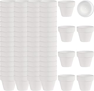 2 Inch White Terracotta Pots Pack of 72 - Mini Clay Pot with Drainage Hole for Tiny Cactus Herb lithop, Small Succulent Planter Nursery Plant Pot for Windowsill, Cactus Plant, Crafts, Wedding Favors