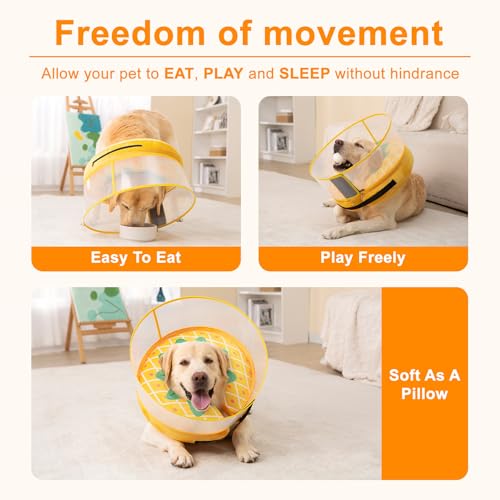 Image of Inflatable Dog Cone Collar for Large Medium Small Dogs, Soft Dog Donut Collar Adjustable Recovery Cone for Pets After Surgery, Extra Enhanced Anti-Licking Guard Shield (Pineapple, Medium Plus)