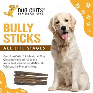   Dog-Chits-Bully-Sticks-for-Dogs-and-Puppies-12-inch-6-Pack-Natural-Healthy-Long-Lasting-Chew-for-Large-and-Small-Dogs-Protein-Treats-Odor-Free