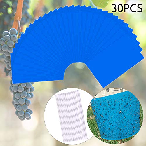 Preisvergleich Produktbild BESTZY Blautafeln Fliegenfallen 30 Stück Fänger Fliegenfänger Sticker BlauSticker(großformatig 20x15cm) Gegen Trauermücken inkl. 30 Kabelbinder