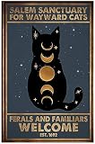 Jimxjon Salem Sanctuary for Wayward Cats Ferals and Familiars Cat Tin Sign Iron Painting Wall Poster