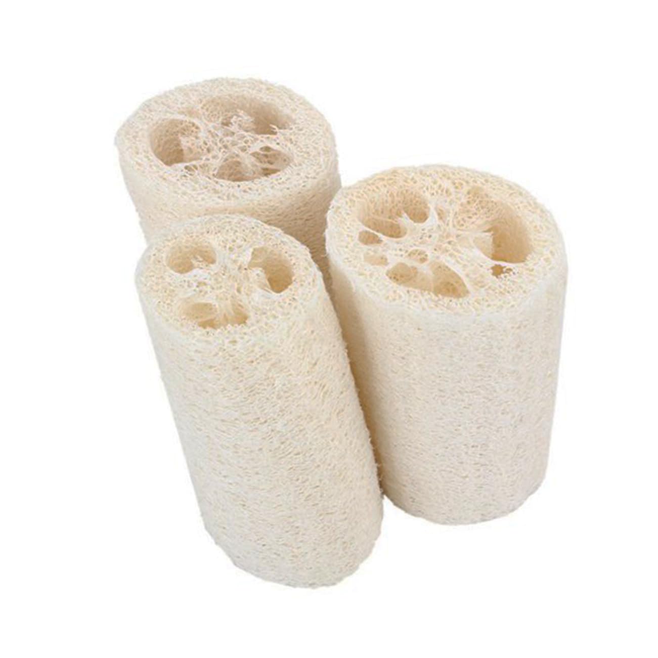 DOITOOL 10stücke Natürliche Luffa Duschschwämme Peeling Körperbürste Für Sanfte Hautreinigung Und Massage Für Bad Und Haushalt Hautfreundlich Und Langlebig